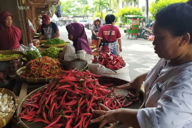 
					Harga Cabai Merah Anjlok Di Bawah Harga Keekonomian, Petani Dipastikan Merugi