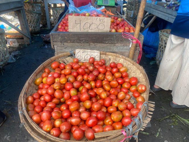 
					Harga Daging Ayam Dan Tomat Turun, Harga Bawang Merah Diproyeksikan Menyusul