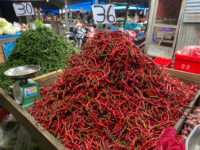 
					Harga Cabai Merah Sentuh 36 Ribu, Harga Bawang Merah Diproyeksikan Turun Lagi