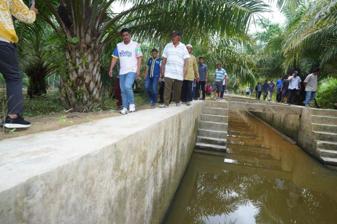 
					Bobby Datangi Waduk yang Tak Terurus 50 Tahun di Langkat