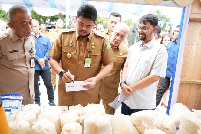 
					Antisipasi Lonjakan Harga Jelang Natal dan Tahun Baru, Pemko Medan Gelar Pasar Murah di 53 Titik